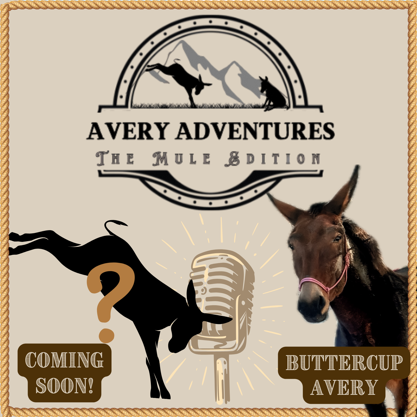 Avery Adventures